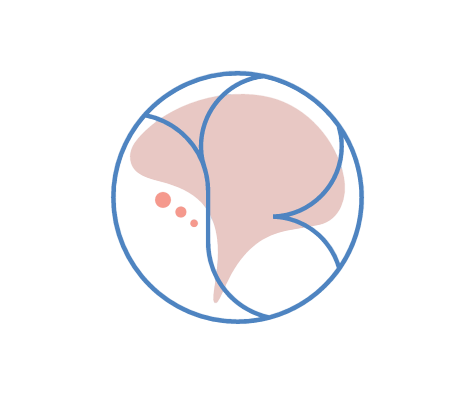 Instituto Lisandra Borges